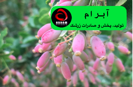 قیمت سایر انواع زرشک