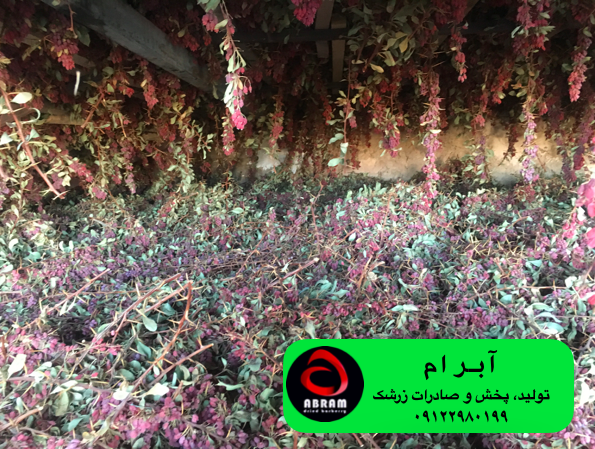 قیمت زرشک زیرتالاری مرغوب در سال ۱۴۰۳